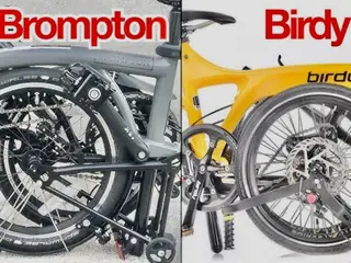 Brompton en of Riese Birdy Müller Vouwfietsen Gezocht Gevraagd als op Foto Afbeelding