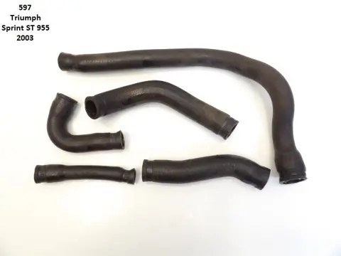RADIATOR TOEBEHOREN Triumph Sprint ST 955 1999 - 2005