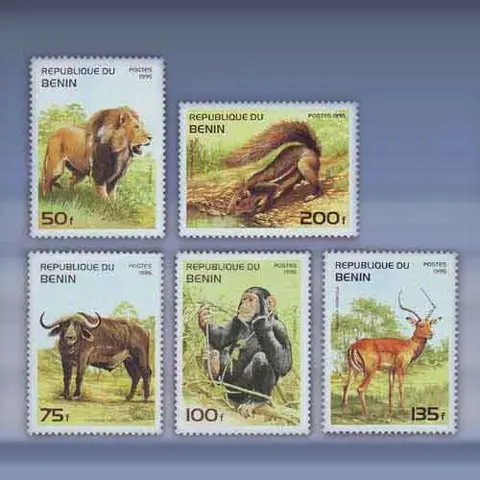 Dieren (1995)