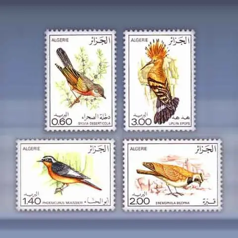 Vogels (1977)