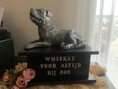 Hondenurnen uit eigen atelier