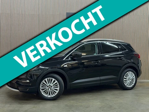 Opel Grandland X 1.2 Turbo Innovation 2017 LED CAMERA LEDER