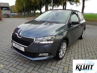 Skoda Fabia 1.0 Business Edition Stoelverwarming Carplay