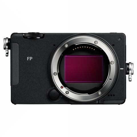 Sigma FP2 + Electronic Viewfinder EVF21