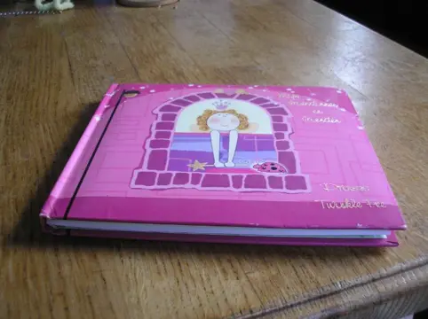 Vriendenboekje- prinses twinkle fee