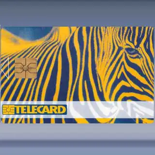 Zebra (1996)