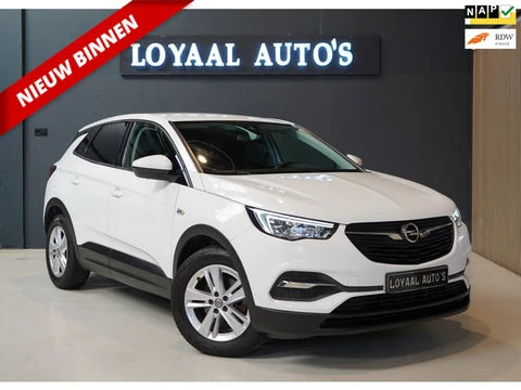 Opel Grandland X 1.2 Turbo Business Edition | AUT | CRUISE | TREKHAAK | PDC | NAVI | AIRCO | NAP | A
