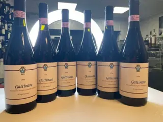 1998 Gattinara di Sergio Gattinara - Piëmont DOCG - 6 Fles
