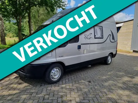 Peugeot GEZOCHT GEVRAAGD 0613896819 ALLE FIAT DUCATO TOPPRIJZEN
