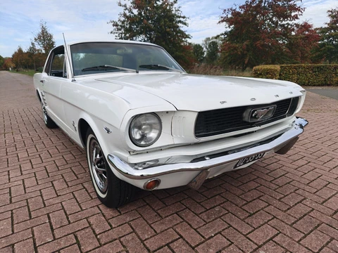 Ford Mustang HARDTOP V8 COUPE C CODE! (bj 1966, automaat)