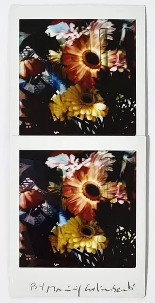 Maurizio Galimberti (1956-) - BiFlowers - 11184