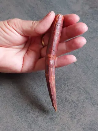 Gigantische Spitse Spinosaurus - Tand - Spinosaurus