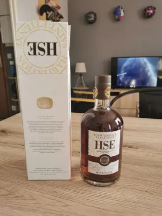 HSE (Habitation Saint Etienne) 2013 - Château la Tour