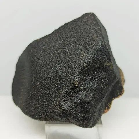 XL MARTIAN METEORIET Shergottiet. NWA 12594 (p. gepaard).