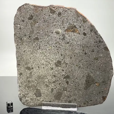 TANEZROUFT 091 Mesosiderito Super XXL!!!!!! doorzichtige