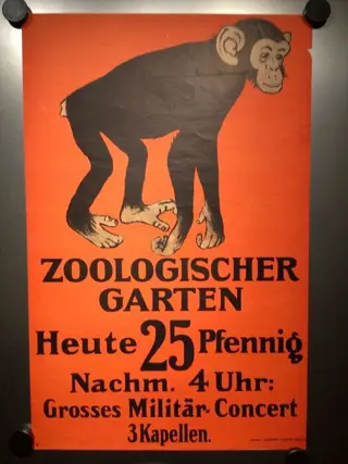 Anonymous - ca. 1900 Zoo poster chimpansee - Poster (1)