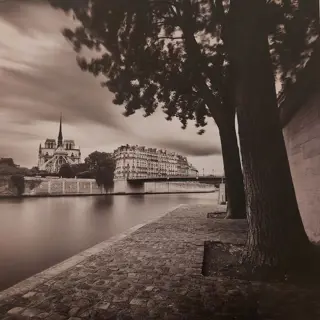 Damien Vassart - Île de la Cité (Paris)