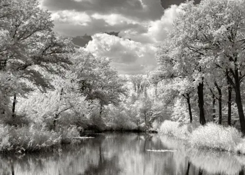 Hans Vos - Pond two nature in infra-red