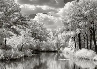 Hans Vos - Pond two nature in infra-red
