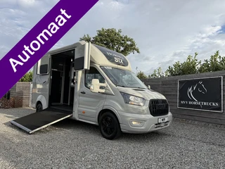 Ford Transit | HORSETRUCK | STX | STALLION 3XL | 2024 | AUTOMATIC | EURO 6 | HENGST | L3 | 42.423KM 