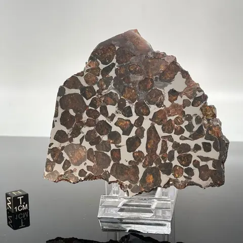 PALLASOVKA HISTORISCHE Pallasite TOPKWALITEIT Snijd