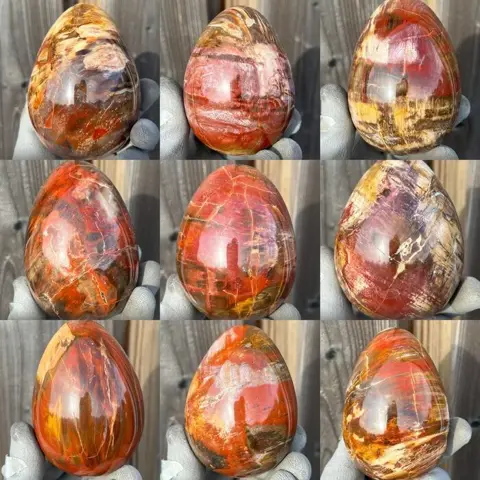 Petrified wood large Polished Petrified AAA wood egg set -
