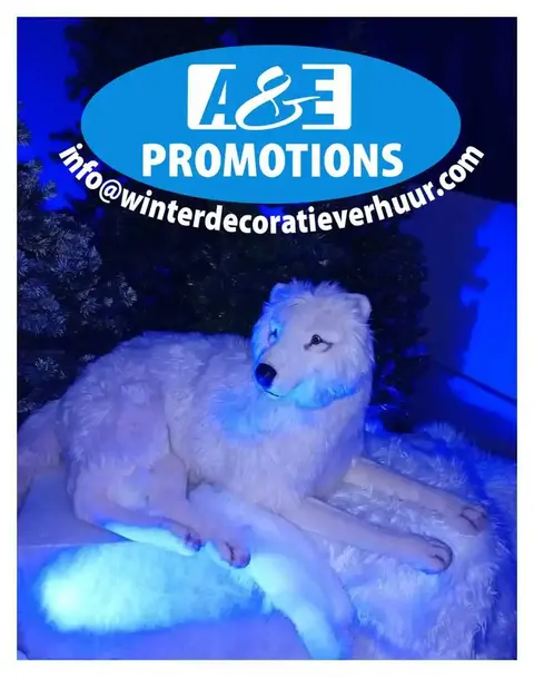 verhuur witte kerstrekwisieten overijssel enschede t. 0599 416200
