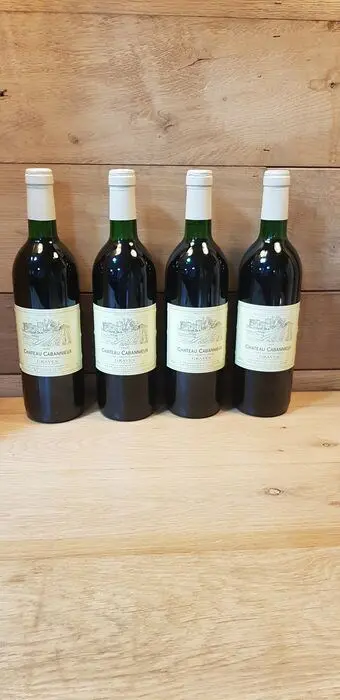 1993 Chateau Cabannieux 'Cru Exceptionnel' - Graves Cru - 4