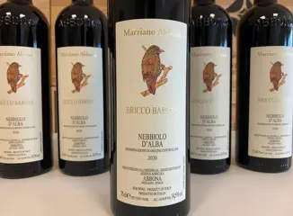 2020 Marziano Abbona Nebbiolo d'Alba "Bricco Barone" -