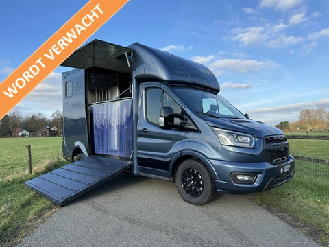 Ford Transit 2-paards paardenvrachtwagen B-rijbewijs Automaat