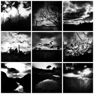 Leandro Guardado - In the Shadows