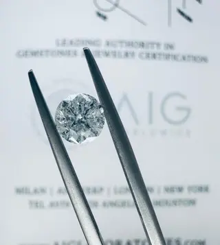 1 pcs Diamant - 1.01 ct - Briljant, Rond - F - P2