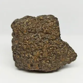 UREILITE -Primitive Achondrite- (Met nano diamanten!) GROOT
