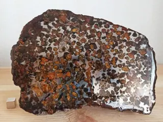 SERICHO METEORITE (Kenia, 2016) PALLASITA. definitieve