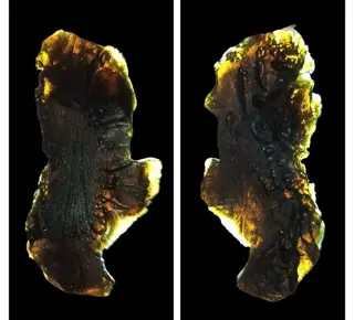 Doorschijnend en sculpturaal TEKTITE -impact van METEORIET-