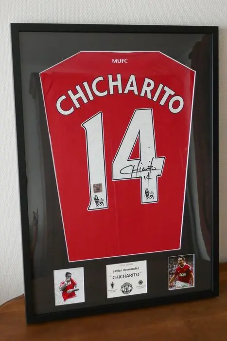 Manchester United - Premier League - Chicharito - 2010 -
