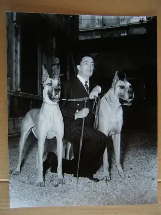 Agenzia Dufoto - Salvador Dali'