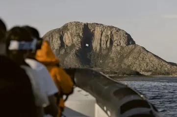 10F RIB-safari zeeavontuur (01mrt- 31aug)