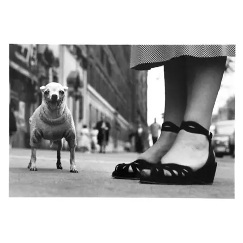 Elliott Erwitt - New York City, USA. Circa 1950