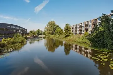 Woning aan de Frieslandstraat te Amsterdam