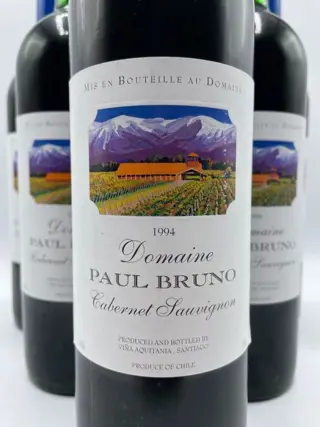1994 Domaine Paul Bruno, Valle del Maipo - Maipo Valley - 6