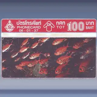 Sea Fish 4/4 (1994)