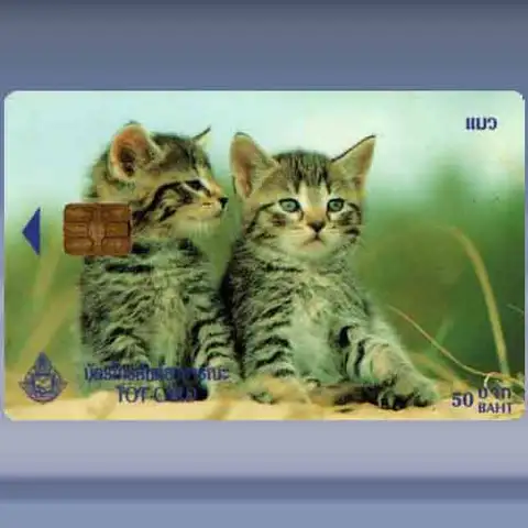 2 Katten (2000)