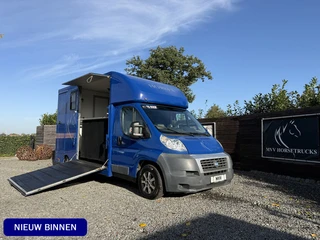 Fiat Ducato | HORSETRUCK | MVV | ALU | COMPETITION 3XL | 2007 | 164.369KM | MANUAL | 120PK | 3-SEAT 