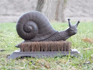 Voetenveger , slak