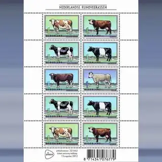 Nederlands Rundvee (2012)