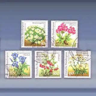 Bloemen (1991)