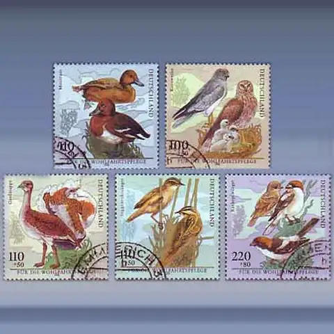 Bedrohte Vogelarten (8-okt-98)