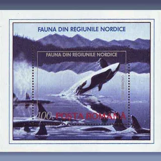 Fauna, Orca (1992)