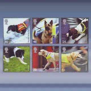 Honden (2008)